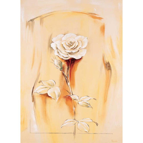 Rose White Modern Wood Framed Art Print by Renee