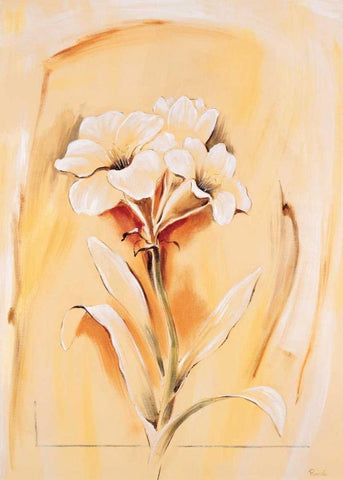 Morning glory White Modern Wood Framed Art Print with Double Matting by Renee