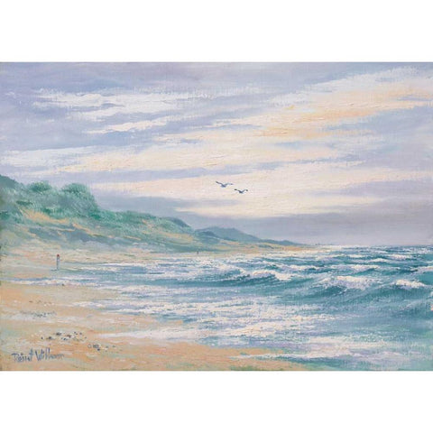 At the sea I Black Modern Wood Framed Art Print with Double Matting by Withaar, Reint