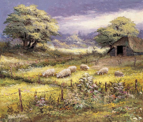 Sheep Black Ornate Wood Framed Art Print with Double Matting by Withaar, Reint