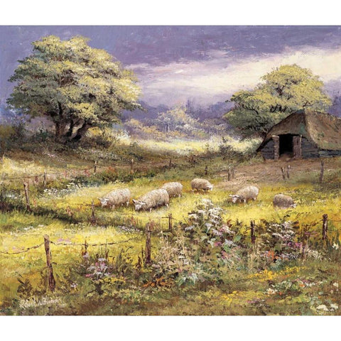 Sheep White Modern Wood Framed Art Print by Withaar, Reint