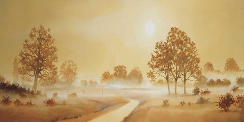 Misty landscape II Black Ornate Wood Framed Art Print with Double Matting by Nauts, Frans