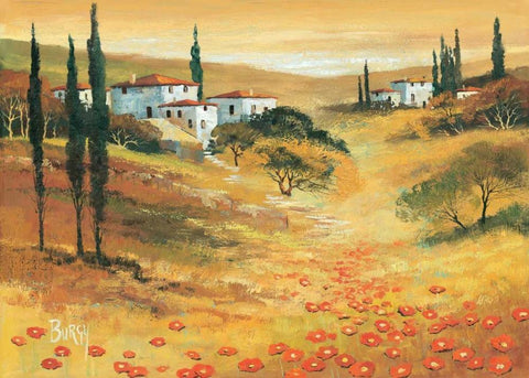 Poppies in Tuscany I White Modern Wood Framed Art Print with Double Matting by Burgy