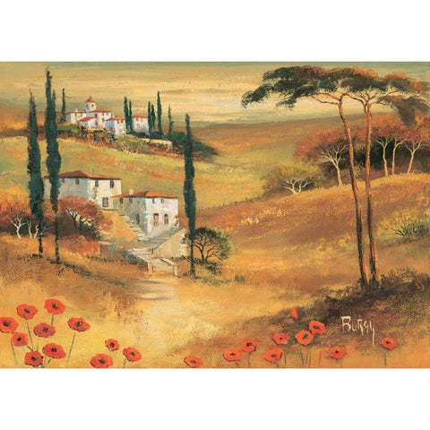 Poppies in Tuscany II White Modern Wood Framed Art Print by Burgy