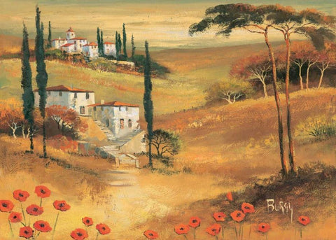 Poppies in Tuscany II White Modern Wood Framed Art Print with Double Matting by Burgy