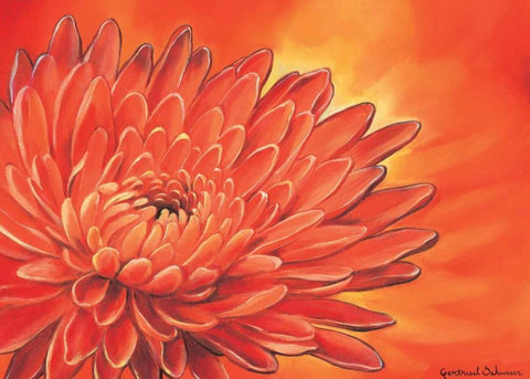 Red flower I Black Ornate Wood Framed Art Print with Double Matting by Schweser, Gertrud