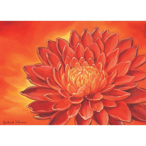 Red flowers II Black Modern Wood Framed Art Print by Schweser, Gertrud