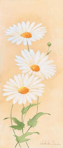 White margarite I White Modern Wood Framed Art Print with Double Matting by Boucher, Nathalie