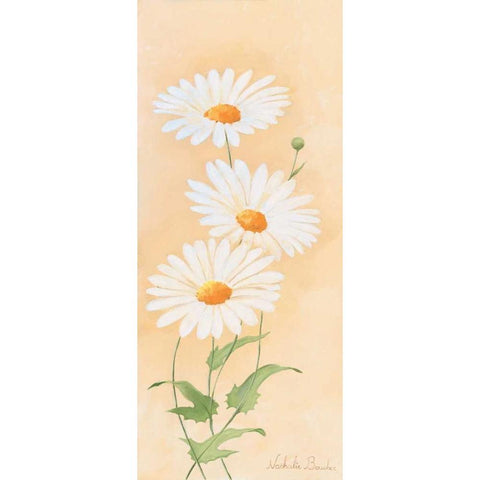 White margarite I Gold Ornate Wood Framed Art Print with Double Matting by Boucher, Nathalie