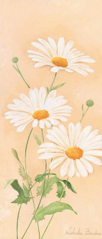 White margarite III White Modern Wood Framed Art Print with Double Matting by Boucher, Nathalie