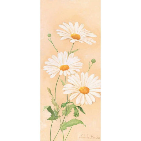 White margarite III Black Modern Wood Framed Art Print by Boucher, Nathalie