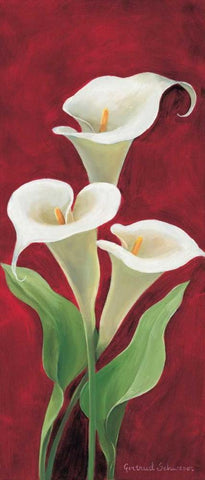 Calla on burgundy I White Modern Wood Framed Art Print with Double Matting by Schweser, Gertrud