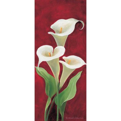 Calla on burgundy I Black Modern Wood Framed Art Print by Schweser, Gertrud
