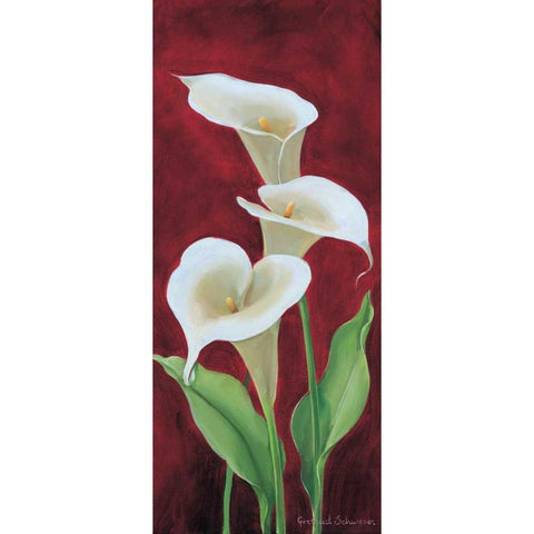 Calla on burgundy III Black Modern Wood Framed Art Print with Double Matting by Schweser, Gertrud