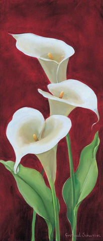 Calla on burgundy III Black Ornate Wood Framed Art Print with Double Matting by Schweser, Gertrud