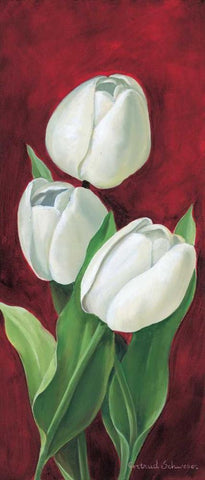 Tulips on burdundy III White Modern Wood Framed Art Print with Double Matting by Schweser, Gertrud
