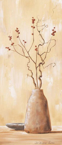 Red berries V White Modern Wood Framed Art Print with Double Matting by Lien, Christopher
