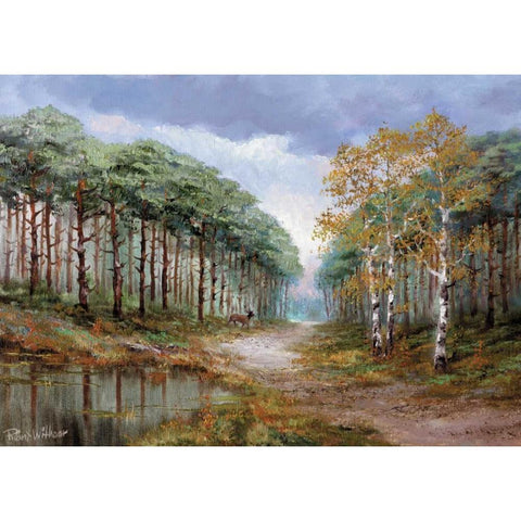 Deer in the woods Black Modern Wood Framed Art Print with Double Matting by Withaar, Reint