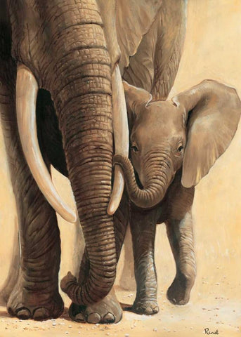 Elephant love I White Modern Wood Framed Art Print with Double Matting by Renee