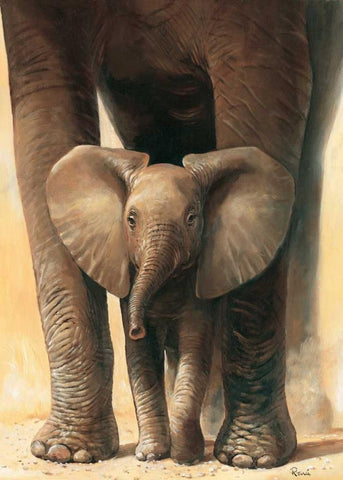 Elephant love II White Modern Wood Framed Art Print with Double Matting by Renee