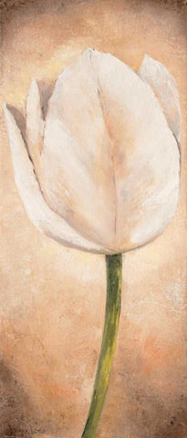 Tulip on beige I White Modern Wood Framed Art Print with Double Matting by Lotus, Lenna