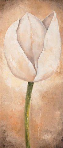 Tulip on beige III White Modern Wood Framed Art Print with Double Matting by Lotus, Lenna