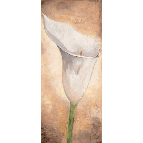 Calla Lilly I White Modern Wood Framed Art Print by Lotus, Lenna