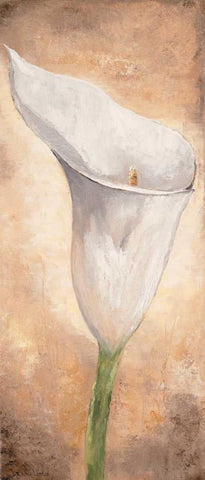 Calla Lilly I White Modern Wood Framed Art Print with Double Matting by Lotus, Lenna