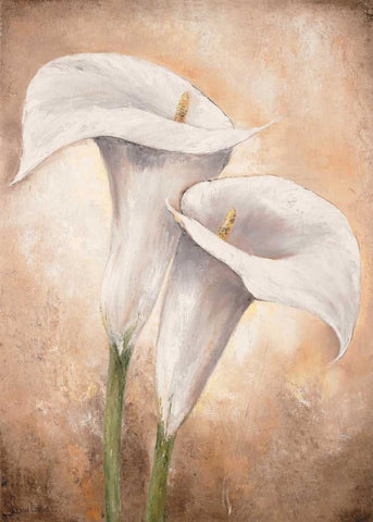 Calla Lilly II Black Ornate Wood Framed Art Print with Double Matting by Lotus, Lenna
