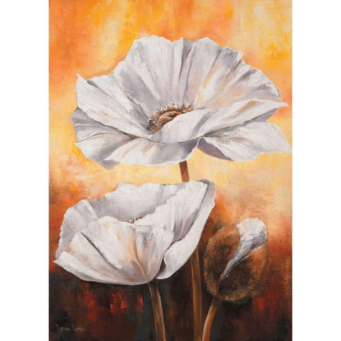 White flowers II Black Modern Wood Framed Art Print with Double Matting by Lotus, Lenna