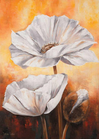 White flowers II White Modern Wood Framed Art Print with Double Matting by Lotus, Lenna