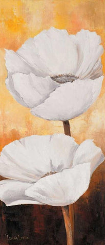 White flowers III Black Ornate Wood Framed Art Print with Double Matting by Lotus, Lenna