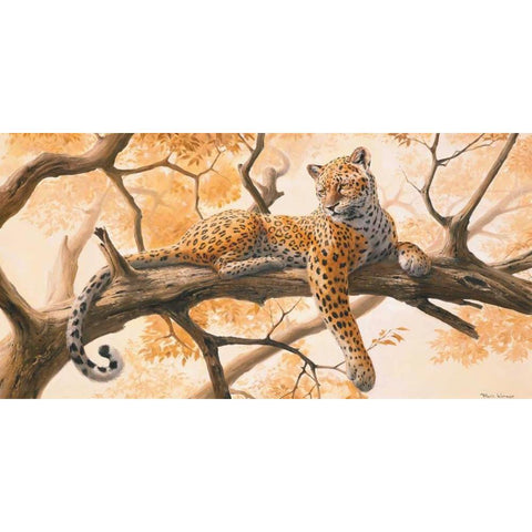 Laying tiger Black Modern Wood Framed Art Print with Double Matting by Norman, Frank