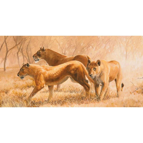 Pride animals White Modern Wood Framed Art Print by Norman, Frank