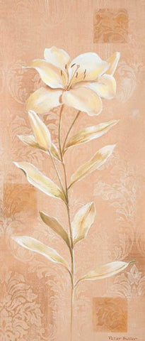 Dream in cream III Black Ornate Wood Framed Art Print with Double Matting by Butler, Peter