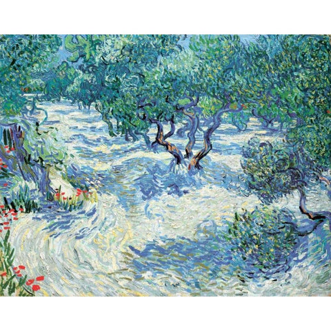 Van Gogh, Vincent Black Modern Wood Framed Art Print with Double Matting by Olive Orchard