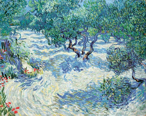 Van Gogh, Vincent Black Ornate Wood Framed Art Print with Double Matting by Olive Orchard
