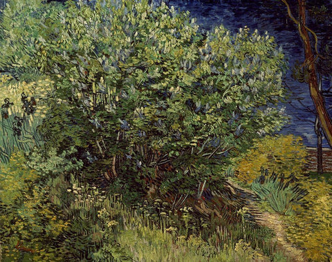 Lilac Bush, 1889 Black Ornate Wood Framed Art Print with Double Matting by Van Gogh, Vincent