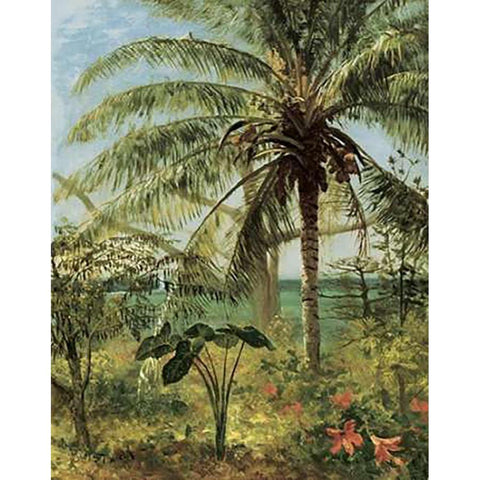 Palm Tree, Nassau 1892 White Modern Wood Framed Art Print by Bierstadt, Albert