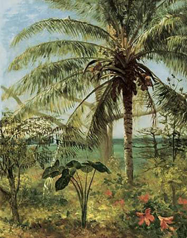 Palm Tree, Nassau 1892 Black Ornate Wood Framed Art Print with Double Matting by Bierstadt, Albert