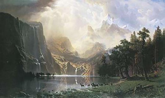 Image Only
