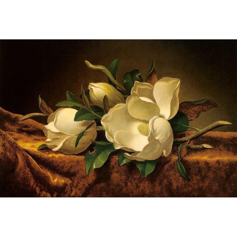 Magnolia On Gold Velvet Cloth Gold Ornate Wood Framed Art Print with Double Matting by Heade, Martin Johnson