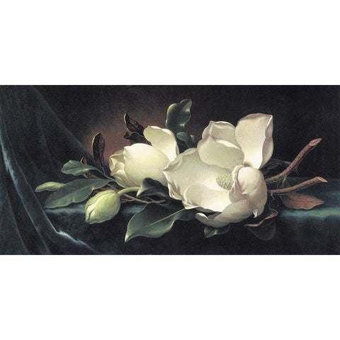 Magnolia Blossom On Blue Velvet Gold Ornate Wood Framed Art Print with Double Matting by Heade, Martin Johnson