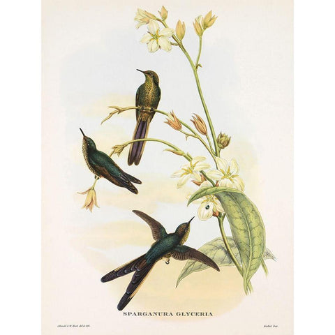 Sparganura Glyceria Gold Ornate Wood Framed Art Print with Double Matting by Ashley, Aaron