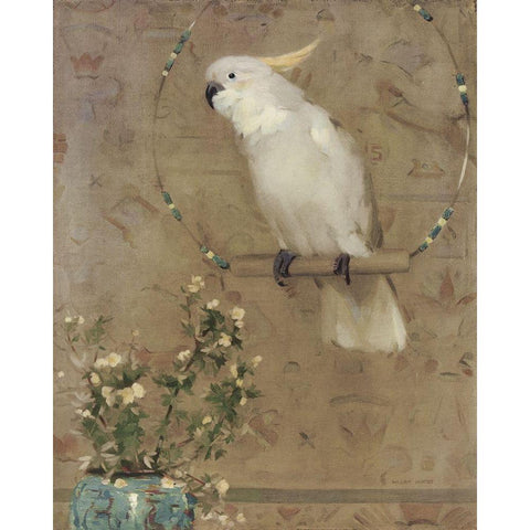 White Bird Black Modern Wood Framed Art Print with Double Matting by Hunter, William