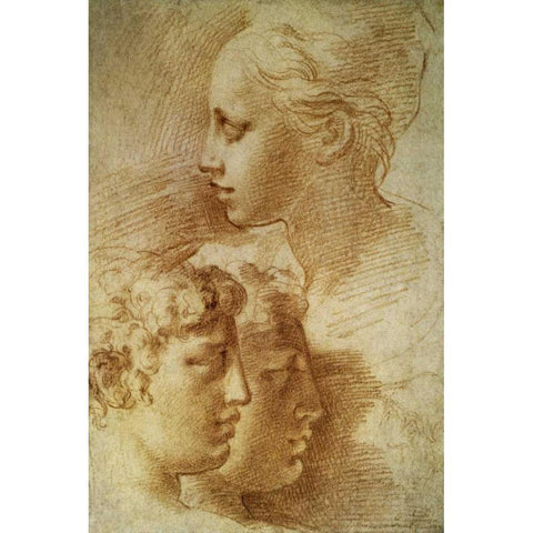 Three Profiles Gold Ornate Wood Framed Art Print with Double Matting by Parmigianino