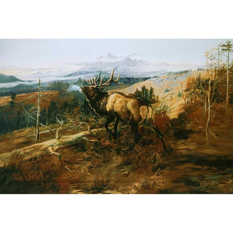 The Elk Black Modern Wood Framed Art Print with Double Matting by Russell, Charles M.