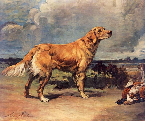 Golden Retriever Black Ornate Wood Framed Art Print with Double Matting by Earl, Maud