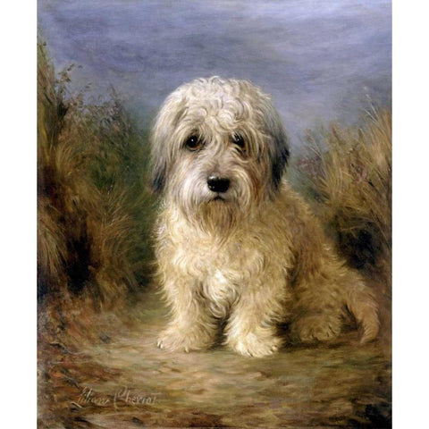 A Dandie Dinmont Black Modern Wood Framed Art Print with Double Matting by Cheviot, Lilian