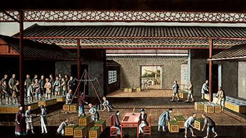 Various Stages In The Manufacture and Selling of Tea White Modern Wood Framed Art Print with Double Matting by Chinese School